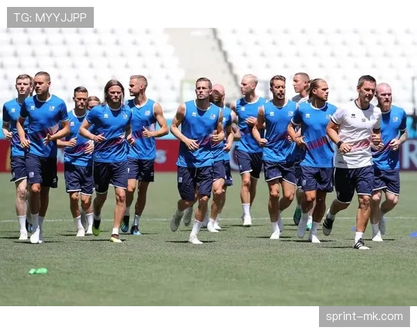 冰岛队顽强防守力克强敌，成功挺进世界杯淘汰赛