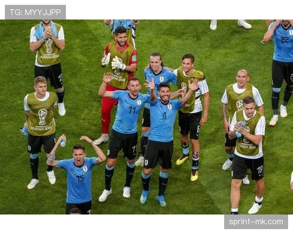 南美足球经典赛事再掀波澜，老对手重新交锋引爆球迷热潮分析