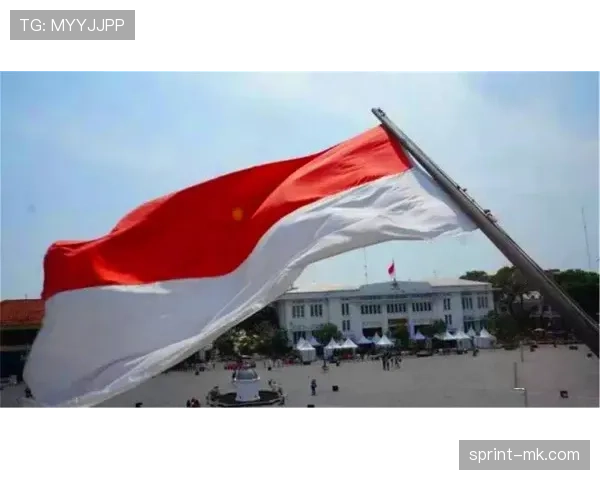 印尼队红白军魂