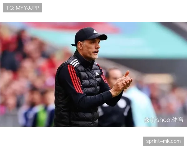 图赫尔球队控球模式